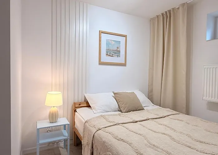 Mieszkanie Brzezno I