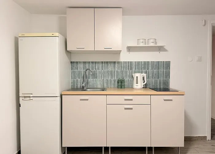 Mieszkanie Brzezno I